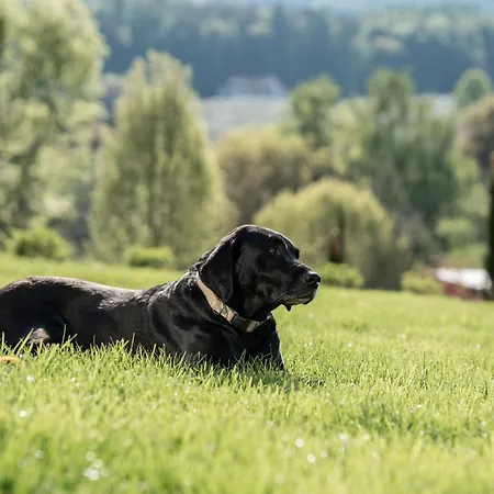 Apfelland Hideaways Mit Sauna * Puch bei Weiz